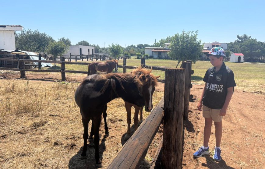 Destination Archangelos <b> MON/FRI </b>